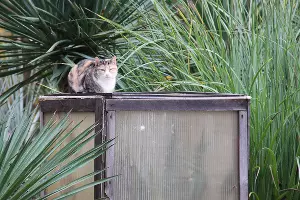  &copy;&nbsp;Фото пресс-службы Сочинского нацпарка