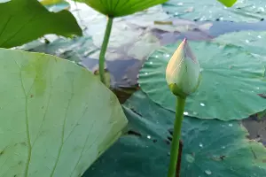  &copy;&nbsp;Фото Марины Солошко, Юга.ру