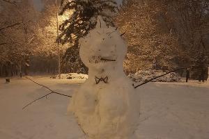  © Фото Анастасии Щегловой, Юга.ру