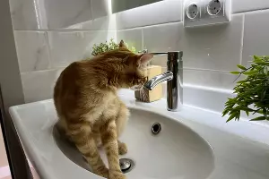  &copy;&nbsp;Фото Александры Булавкиной, Юга.ру