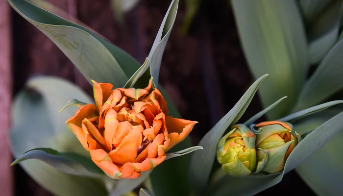  &copy;&nbsp;Фото Елены Синеок, Юга.ру