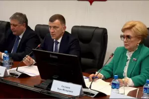  &copy;&nbsp;Скриншот из телеграм-канала депутата Александра Сафронова https://t.me/redtemnik/6603