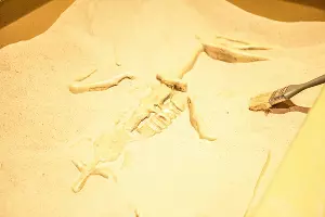  &copy;&nbsp;Фото пресс-службы курорта &laquo;Роза Хутор&raquo;