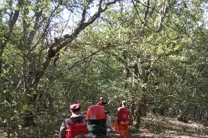  &copy;&nbsp;Фото Максима Ребеченко