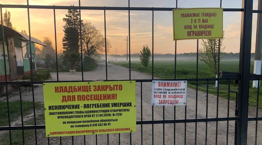  © Фото Анастасии Паньковой, Юга.ру