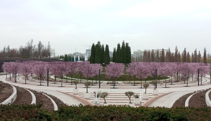 «Японский сад» закрыт, слива цветет, «Парк облаков» растет