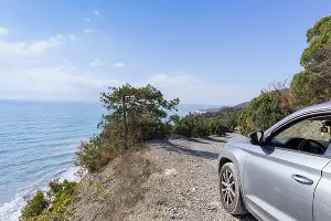  &copy;&nbsp;Фото user17015586, freepik.com