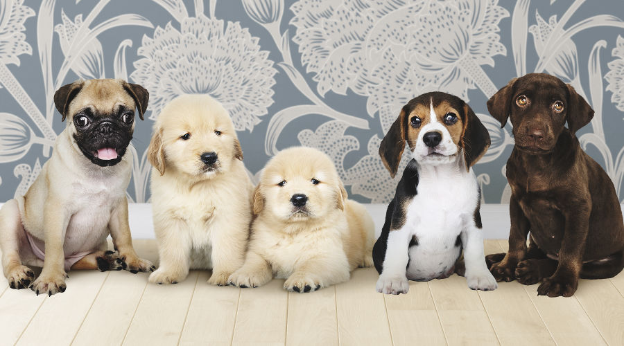  © Фото rawpixel.com, сайт freepik.com