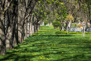  © Фото Елены Синеок, Юга.ру