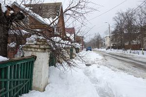 Опасные ветки над дорожкой © Фото Александры Аксеновой, Юга.ру
