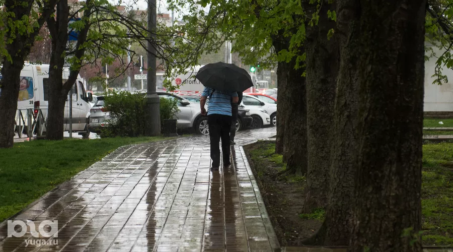  &copy;&nbsp;Фото Елены Синеок, Юга.ру