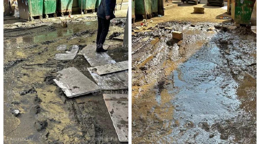  &copy;&nbsp;Скриншот из телеграм-канала &laquo;Шанхай Краснодар&raquo; https://t.me/shanhai_krasnodar/23169