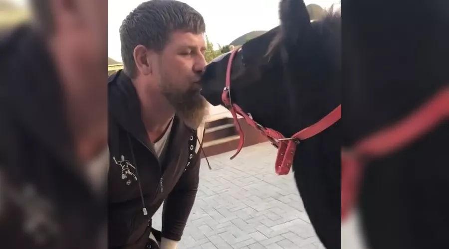  &copy;&nbsp;Кадр из видео со страницы Джамбулата Умарова в Instagram, instagram.com/djambox