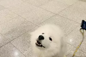  &copy;&nbsp;Фото со страницы facebook.com/ohetrye