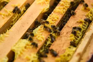  &copy;&nbsp;Фото Елены Синеок, Юга.ру