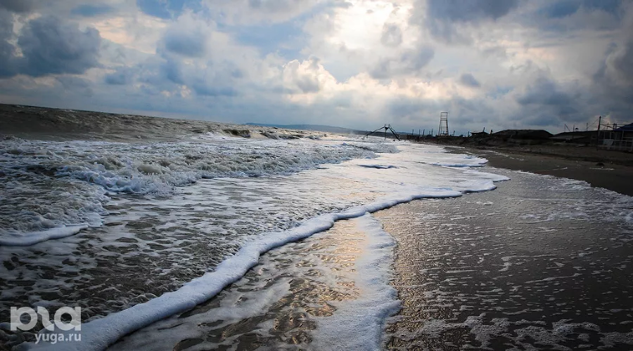  &copy;&nbsp;Фото Елены Синеок, Юга.ру