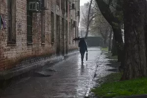 &copy;&nbsp;Фото Елены Синеок, Юга.ру