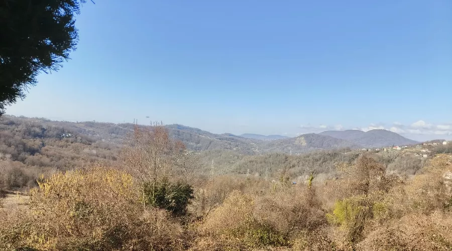 Участок для благоустройства в рамках конкурса «Зеленый туризм в городе-курорте Сочи» &copy;&nbsp;Фото пресс-службы курорта &laquo;Роза Хутор&raquo;