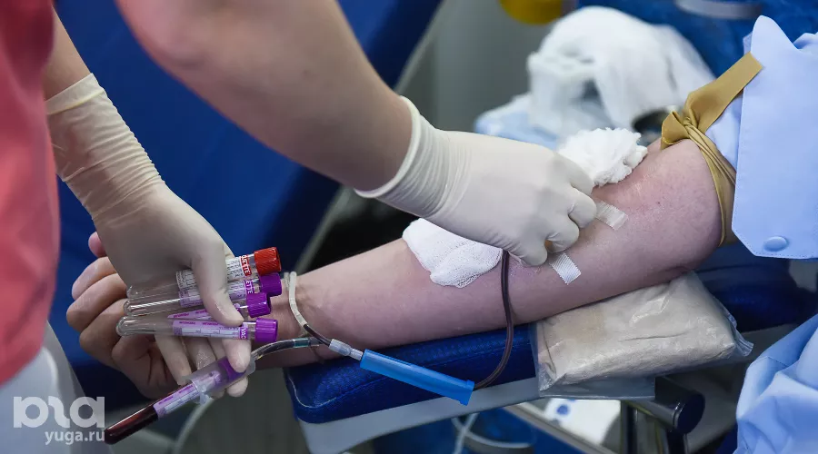  &copy;&nbsp;Фото Елены Синеок, Юга.ру