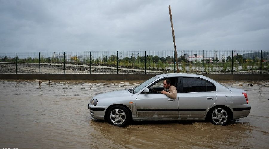  © Фото Нины Зотиной, Юга.ру