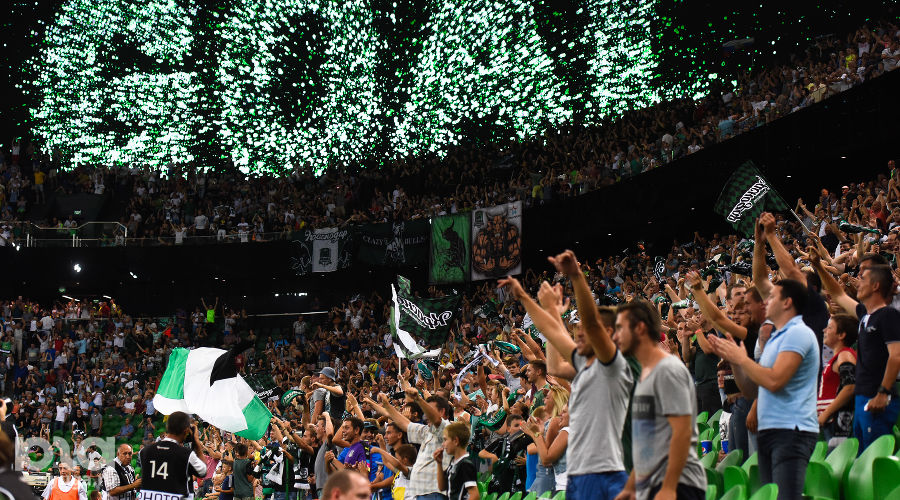  © Фото Елены Синеок, Юга.ру