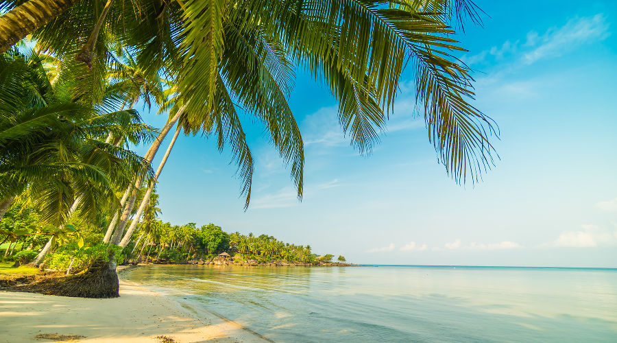  © Фото lifeforstock, сайт freepik.com