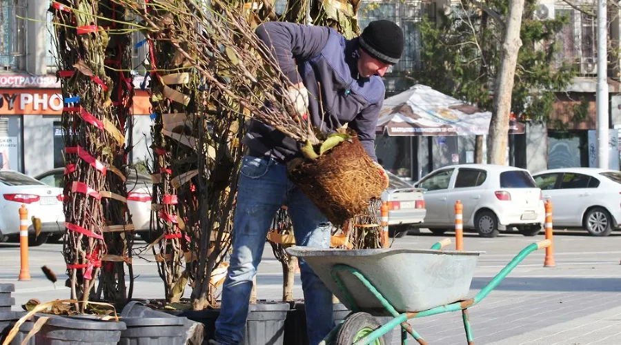  &copy;&nbsp;Фото пресс-службы администрации Краснодара