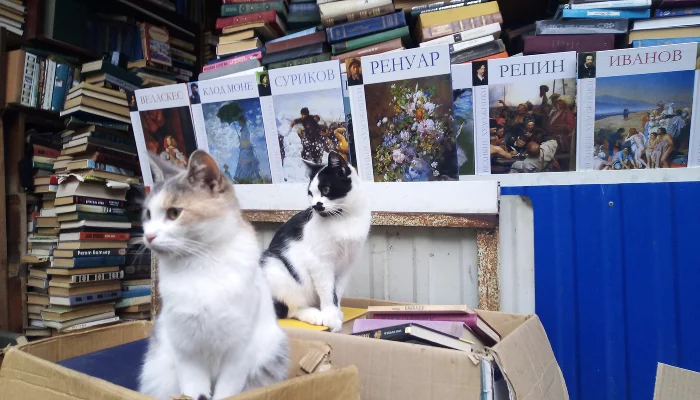 Книжный рынок Краснодара объявил сбор ненужной литературы