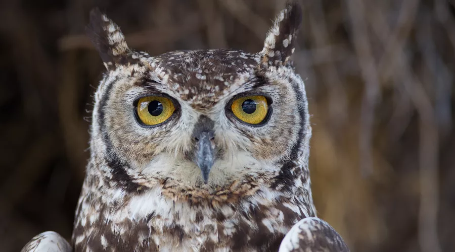  &copy;&nbsp;Фото wirestock, Freepik.com