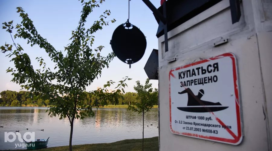  &copy;&nbsp;Фото Елены Синеок, Юга.ру