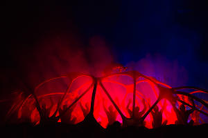 Генеральная репетиция шоу ТОТЕМ Cirque du Soleil в Сочи © Фото Артура Лебедева, Юга.ру
