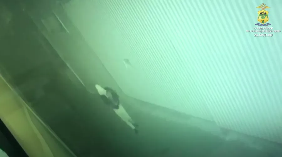  &copy;&nbsp;Скрншот из видео пресс-службы ГУ МВД России по Краснодарскому краю