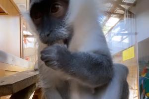  © Скриншот из instagram.com/varlamov/