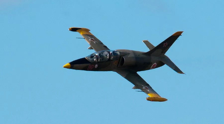 Самолет L-39 &copy;&nbsp;Фото с сайта wikipedia.org