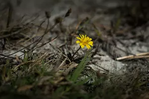 Суджукская лагуна и ее окрестности &copy;&nbsp;Фото Елены Синеок, Юга.ру