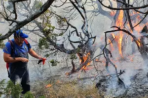  &copy;&nbsp;Фото пресс-службы ГУ МЧС России по Краснодарскому краю