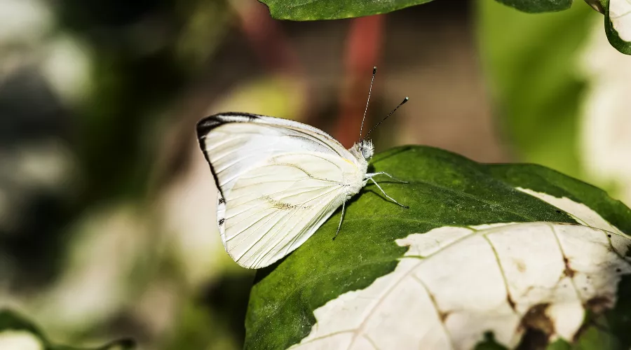  &copy;&nbsp;Фото пользователя rawpixel.com с сайта freepik.com