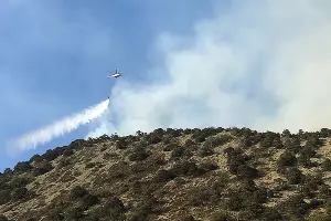 Пожар в заповеднике «Утриш» &copy;&nbsp;Фото Виталия Кавтарадзе