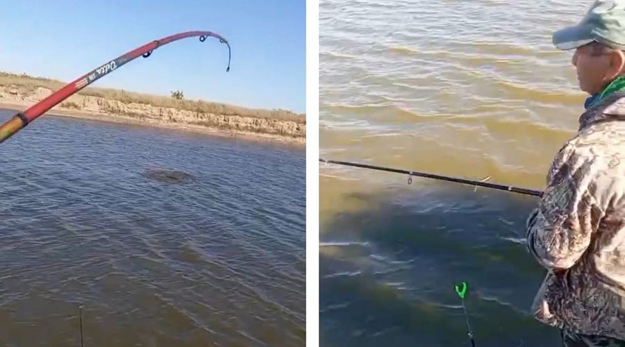  © Коллаж из скриншотов видео из телеграм-канала «Дельфа»