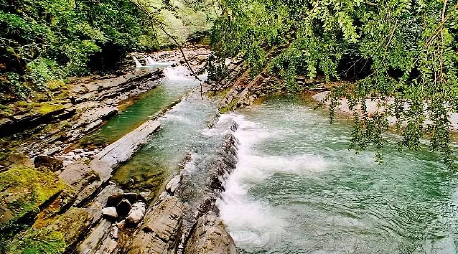  &copy;&nbsp;Фото из инстаграма Сочинского национального парка, instagram.com/npsochi