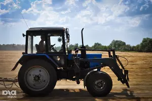 Жатва &copy;&nbsp;Елена Синеок. ЮГА.ру