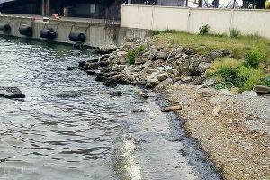  © Фото из паблика «Новороссийск ДТП», https://vk.com/nvrsk_road