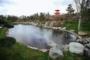 Японский сад &copy;&nbsp;Антон Быков, Юга.ру