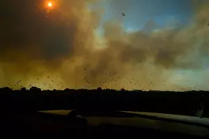 Пятые сутки пожара в Могукоровке &copy;&nbsp;Фото Каси Кульковой, группа &laquo;Добровольные пожарные Кубани&raquo;