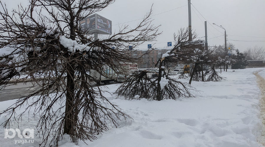 Зима в Краснодаре &copy;&nbsp;Фото Александры Прохоренковой-Аксеновой, Юга.ру