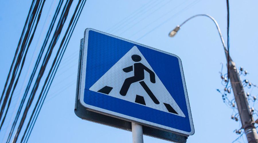  © Фото Елены Синеок, Юга.ру