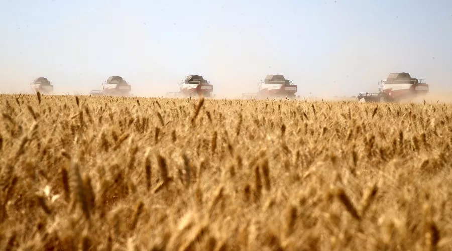  &copy;&nbsp;Фото пресс-службы правительства Ростовской области