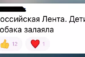  &copy;&nbsp;Скриншот из телеграм-канала t.me/tipichkras