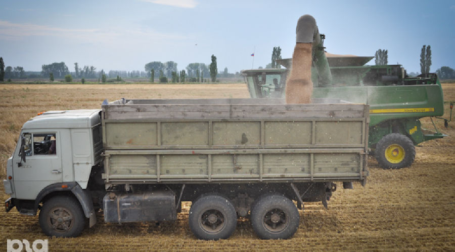 Уборка урожая &copy;&nbsp;Елена Синеок. ЮГА.ру