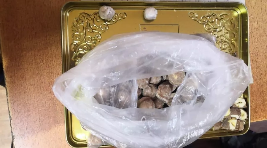  &copy;&nbsp;Фото пресс-службы УФСИН России по Ставропольскому краю